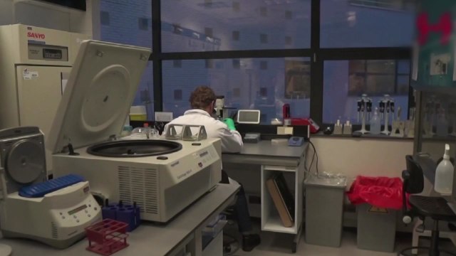 워싱턴 의대 기존 백신으로는 변이 코로나19 막기 어려워 / YTN