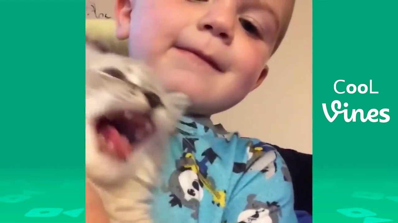 Try Not To Laugh Challenge - Funny Cat & Dog Vines compilation 2017