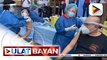 Coronavac vaccine ng Sinovac, mainit na tinanggap ng health workers sa Ilocos Norte