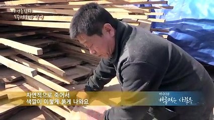 [미니다큐] 아름다운 사람들 - 142회 : 자연을 담다- 수제도마 장인