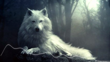 Epic Music - White Wolf Spirit