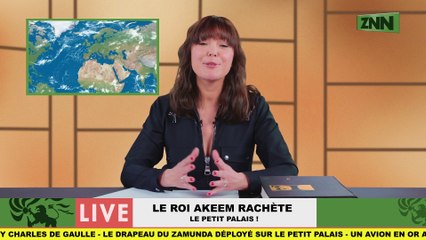 Un Prince à New-York 2 Film - Le Prince Akeem rachète le Petit Palais