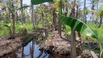 Mengejutkan..! Nekat Mancing Dilubang Super Besar Dapat Mahluk Berlendir Super Panjang