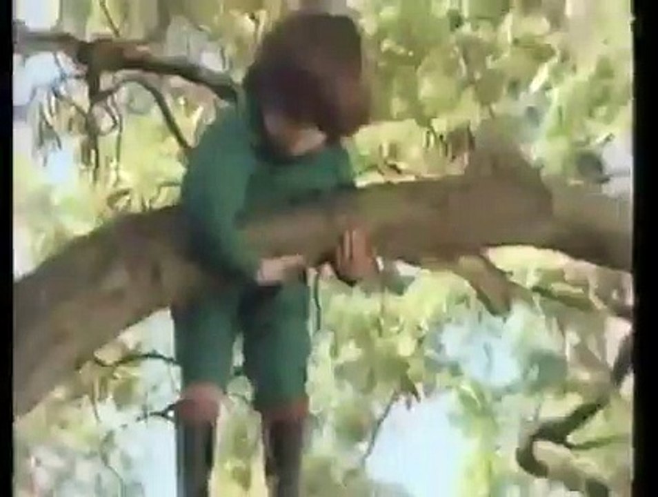 Depois a culpa e dos homens