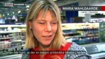 Svenske supermarkedskæder boykotter dansk svinekød | Boykot af dansk svinekød i Sverige | svine-MRSA | 28-09-2014 | TV SYD @ TV2 Danmark