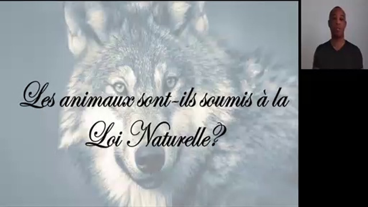 Les animaux sont-ils soumis à la Loi naturelle ?