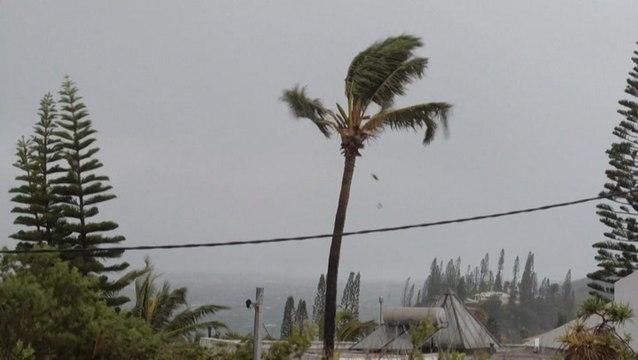 New Caledonia rocked by Cyclone Niran's strong winds