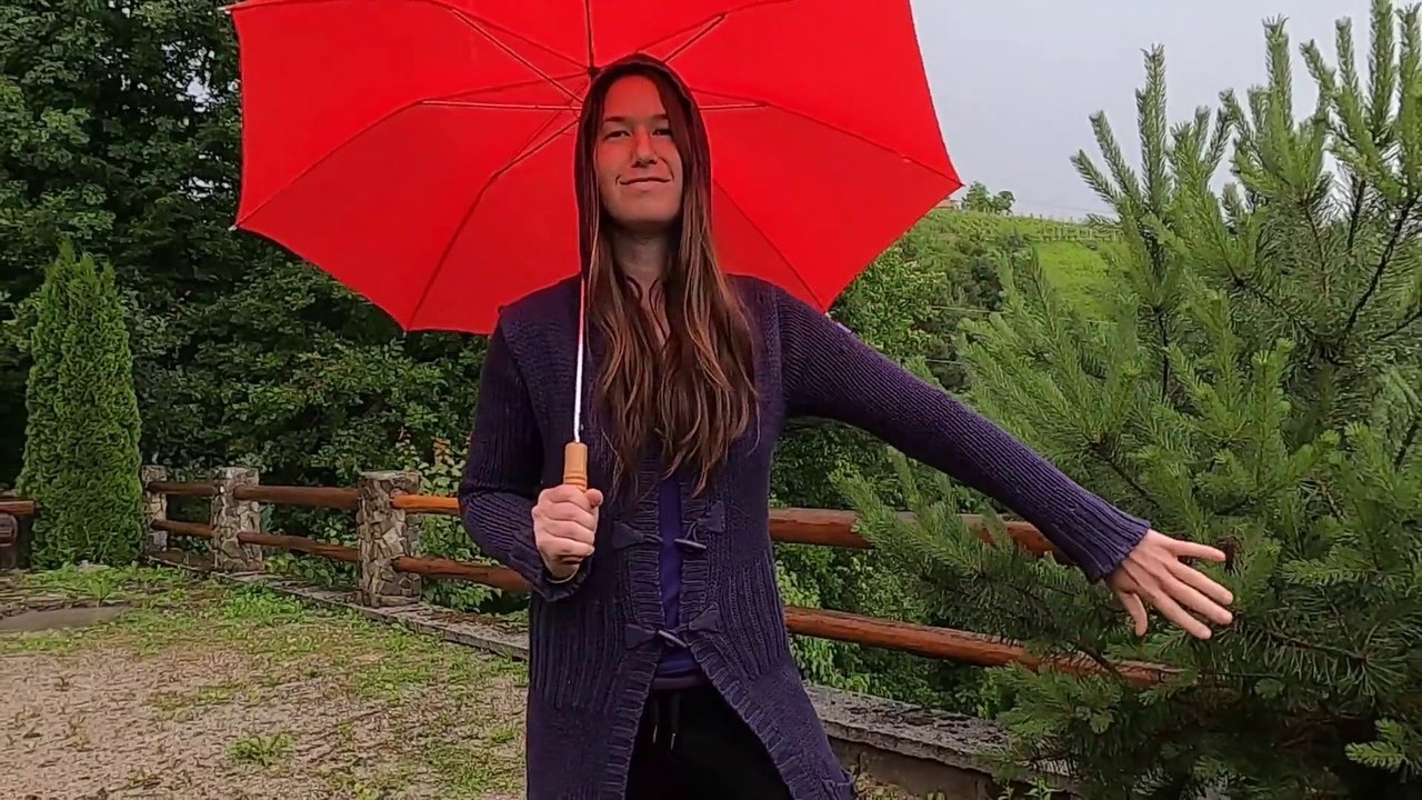 The Cowsills - “The Rain, The Park And Other Things”