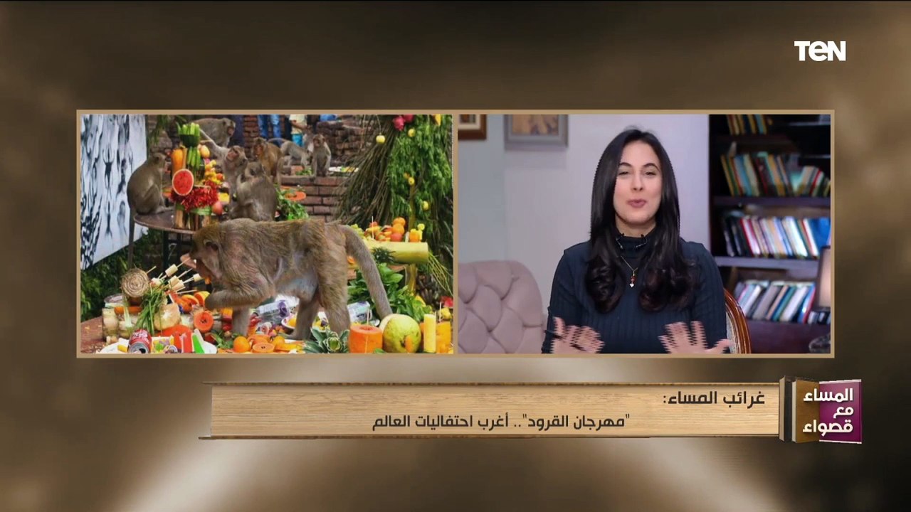 المساء مع قصواء | "مهرجان القرود".. أغرب احتفاليات العالم
