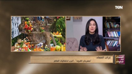 المساء مع قصواء | "مهرجان القرود".. أغرب احتفاليات العالم