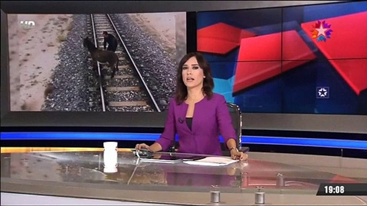 Eşeği tren raylarına bağlayarak ölüme terk ettiler