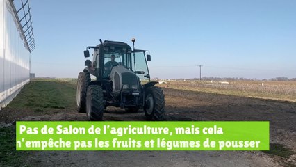 Les maraîchers face à la crise sanitaire à Villy-le-Maréchal