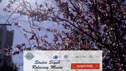 Relaxing Music Op.5 , Calm, Meditation, Study, Yoga, Sleeping, Stress Relief, Focus, Healing Music