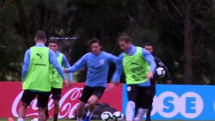 El covid vuelve a interponerse en el premundial y se suspende la doble fecha sudamericana