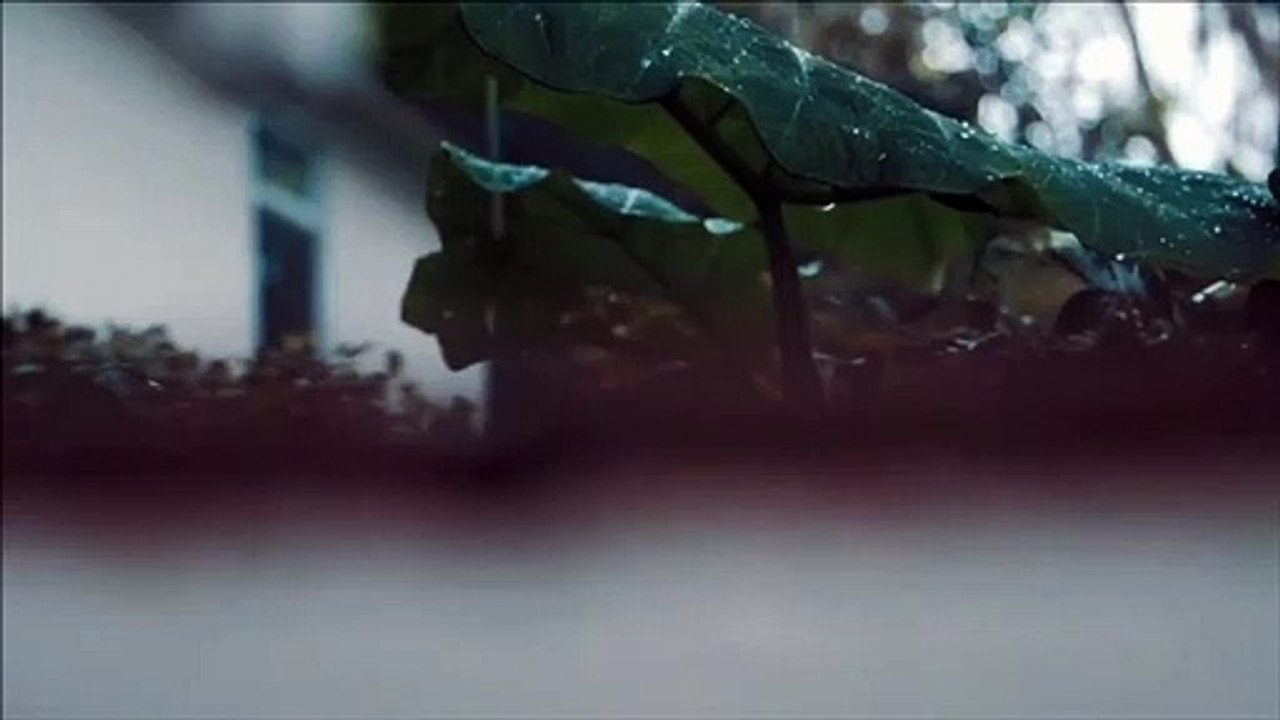 Nature captured