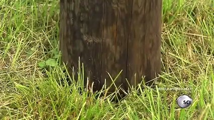 How Its Made - 1125 Hydraulic Post Drivers