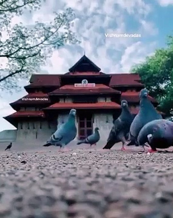 Solful Music | You can Feel it ❤