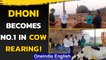 Dhoni honoured for his work in Animal Husbandry in the Eastern India | Oneindia News