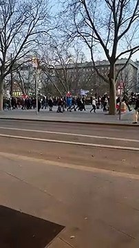 Protestas en Viena contra las restricciones - 3