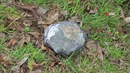 İki Arkadaş, Buldukları Taşın Meteor Parçası Olduğunu İddia Ediyor