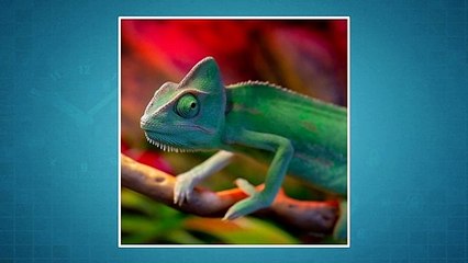 Cyber Security | Module 6.4 | Online Free Course in Hindi | Omkar Services