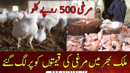 Chicken prices surge to Rs 500/kilo in Pakistan