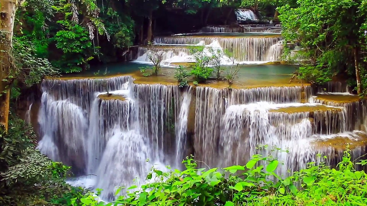 NATURE AS A DIVINE LOVE