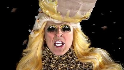 Weird Al Yankovic - Perform This Way