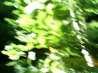 Miss McCleod's reel balalaika and guitar