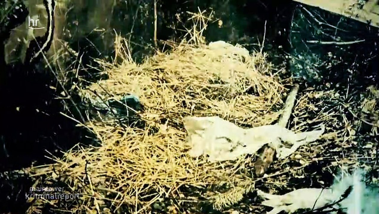 maintower-kriminalreport vom 07.03.2021