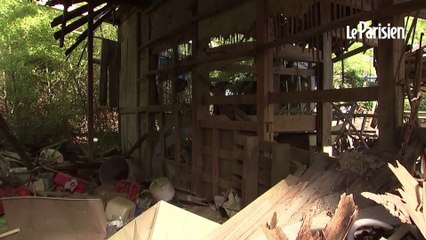 Fukushima: 10 ans après, elle retourne voir sa maison abandonnée