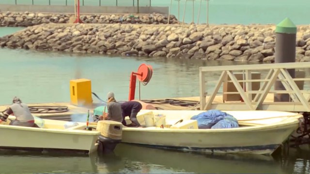 حظر دخول المقيمين إلى الكويت بسبب كورونا كبد القطاعات الإنتاجية خسائر فادحة