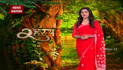 पाइथन सिटी की सच्ची पड़ताल, अजगरों की बस्ती की पहेली