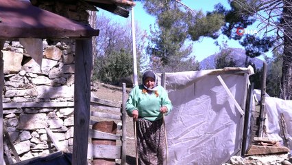 Fatma teyzenin 62 yıllık çobanlık hikayesi