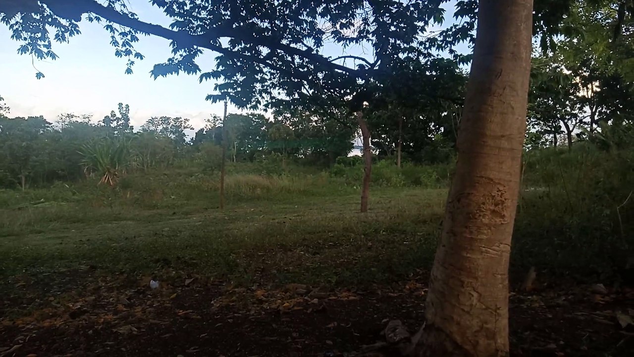 Try