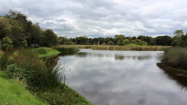 Según la Fundación Humedales de Bogotá, en los últimos 30 años la capital del país ha perdido 47.000 hectáreas de estos cuerpos de agua. 