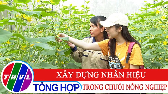 Nông nghiệp bền vững: Xây dựng nhân hiệu trong chuỗi nông nghiệp