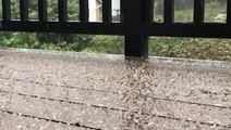 Parts of Washington hit with hail and sleet