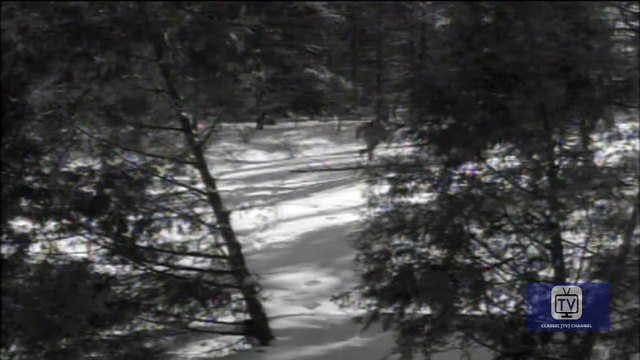 Last of the Mohicans | Season 1 | Episode 38 | Indian Doll | John Hart | Lon Chaney Jr.