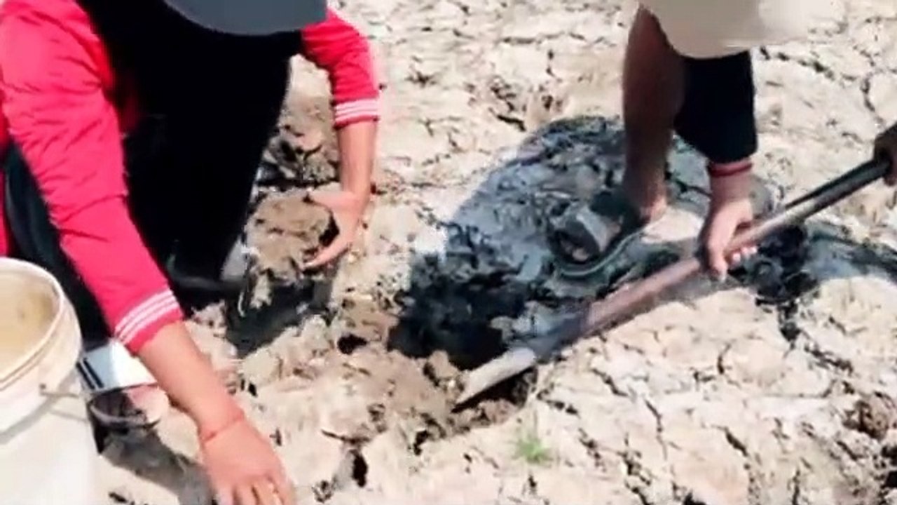 Amazing Viral Fishing On Dry SeasonFinding Secret Dry Fish From Underground | CreativeVilla.