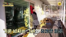 암과 밀접한 관계? 면역력에 대한 오해와 진실이 밝혀집니다!_기적의 습관 69회 예고 TV CHOSUN 210309 방송