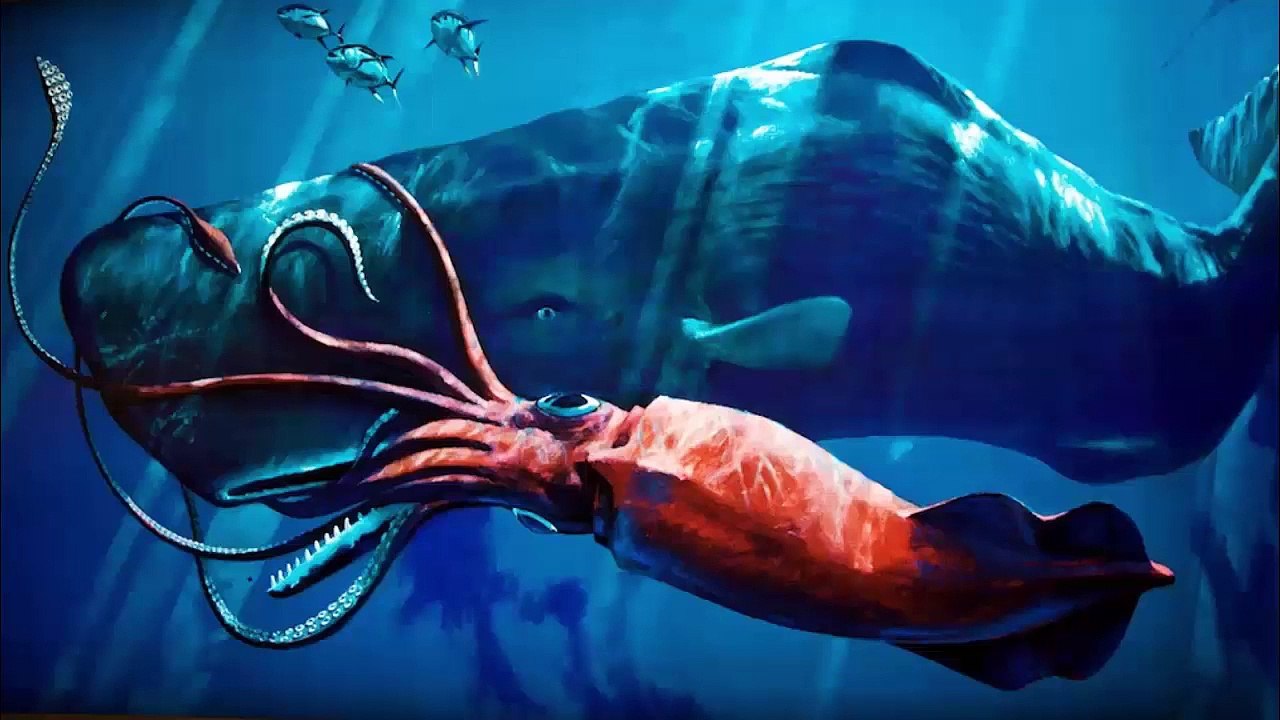 Oceans Of The World Is Deeper Than You Think Samandar Ap Ki Sooch Sa Zaiyda Ghara Hai