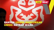 Banyak usaha hancurkan UMNO: Asyraf Wajdi