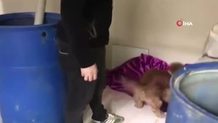 Son dakika haberleri! İstanbul'da uyuşturucu satıcılarına operasyon: 3 gözaltı