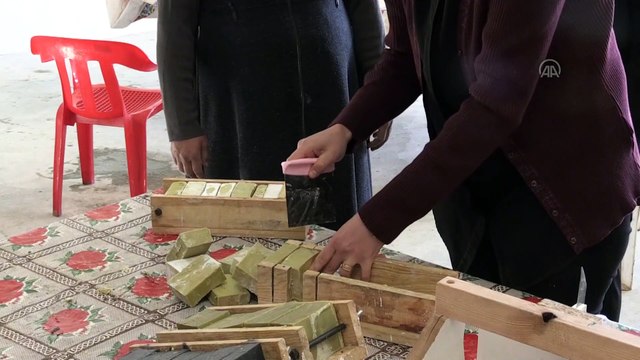 KİLİS - Tarımsal kalkınma kooperatifi kırsaldaki kadınların umudu oldu