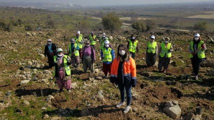 Manisa'da ormanlık alanlar kadınların eliyle genişliyor