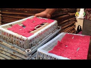 Yuk Intip Pembuatan Kerupuk di Pabriknya Langsung