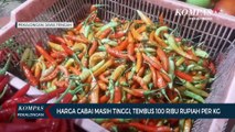 Harga Cabai Masih Tinggi, Tembus 100 Ribu Rupiah Per Kilogram