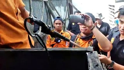 Peliharaan Membahayakan, Seekor Buaya Muara di Handil Bakti Dievakuasi