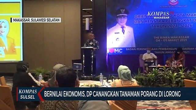 Bernilai Ekonomis, Dp Canangkan Tanaman Porang Di Lorong